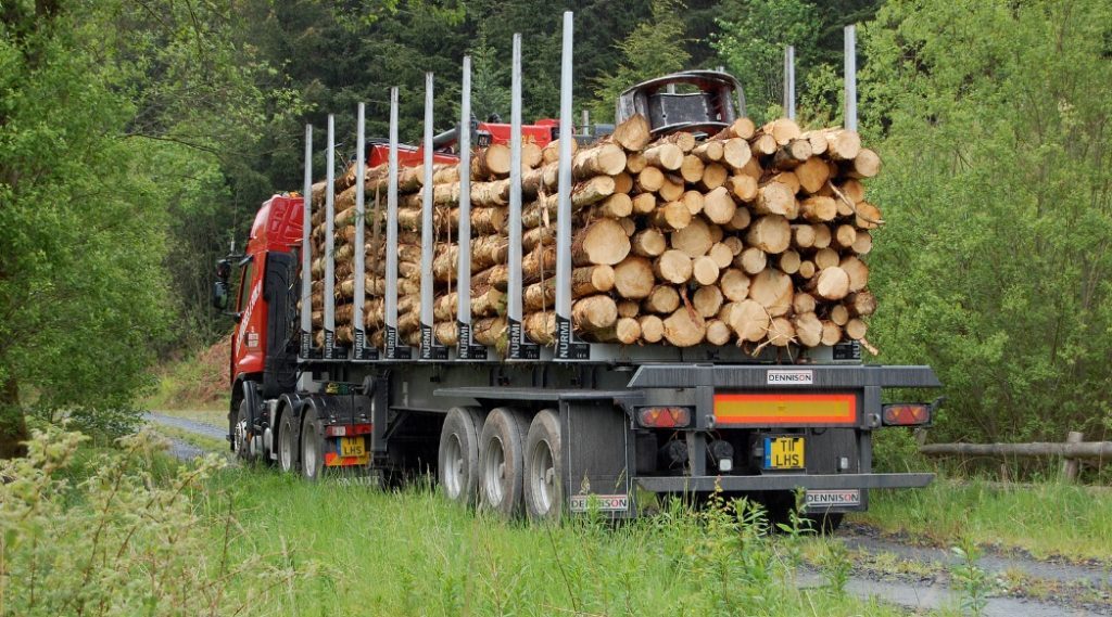 A PROG Ambiental é uma empresa especializada em serviços ambientais, incluindo a regularização do DOF. Nossa equipe de especialistas está pronta para auxiliá-lo em todas as etapas do processo, desde a emissão do DOF até o transporte e armazenamento da madeira.