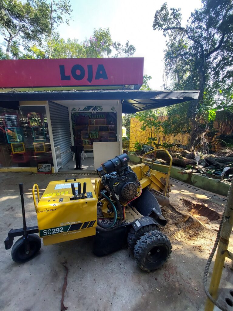 Mas por que se preocupar com isso? Simples! Tocos abandonados podem se tornar um foco de pragas e doenças, prejudicando as árvores vizinhas e até mesmo a saúde pública. Além disso, eles atrapalham o paisagismo, dificultam a manutenção do espaço e podem causar acidentes.