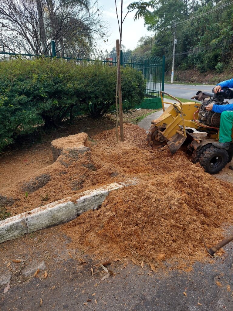 👉 Invista no futuro verde de São Paulo! Entre em contato com a PROG Ambiental pelo telefone/WhatsApp (11) 98581-6068 e solicite um orçamento para rebaixamento de tocos. Juntos, podemos transformar a nossa cidade em um lugar mais bonito, saudável e seguro para todos!