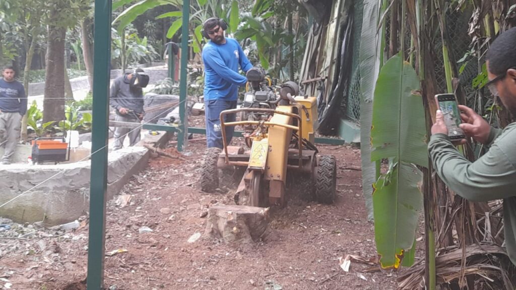 A PROG Ambiental é especialista em serviços de rebaixamento de tocos em São Paulo. Com equipe qualificada e equipamentos modernos, garantimos um serviço rápido, eficiente e seguro, sem causar danos ao meio ambiente.