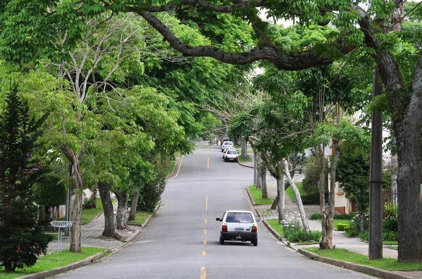 - Apoie o plantio de árvores: Participe de iniciativas de arborização urbana, plante uma árvore em seu quintal ou apoie organizações que trabalham pela preservação do meio ambiente.