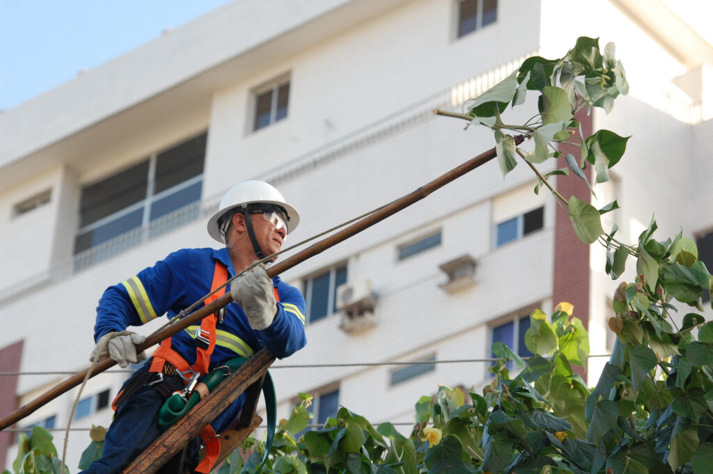 É aí que entra a importância do manejo arbóreo próximo à rede elétrica, um serviço essencial para garantir a segurança da população e o bom funcionamento do sistema energético.