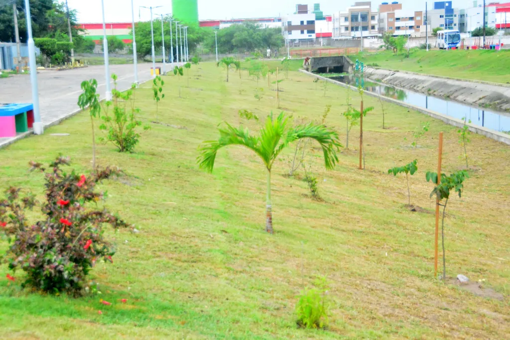 O plantio de mudas em áreas urbanas é uma prática que vai muito além de embelezar o cenário das cidades, como demonstrado por estudos que destacam sua capacidade de reduzir a poluição do ar e criar espaços mais agradáveis e saudáveis para a população.