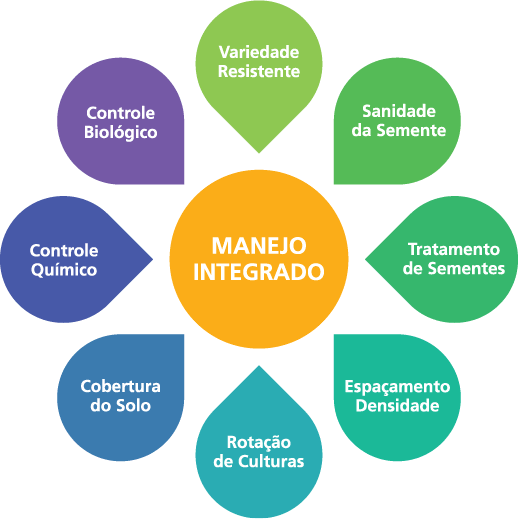 O Manejo Integrado de Pragas (MIP) destaca-se como uma estratégia essencial para agricultores que buscam controlar pragas de maneira sustentável e eficaz. Ao combinar diferentes métodos de controle, o MIP visa manter as populações de pragas abaixo dos níveis que causam danos econômicos significativos.