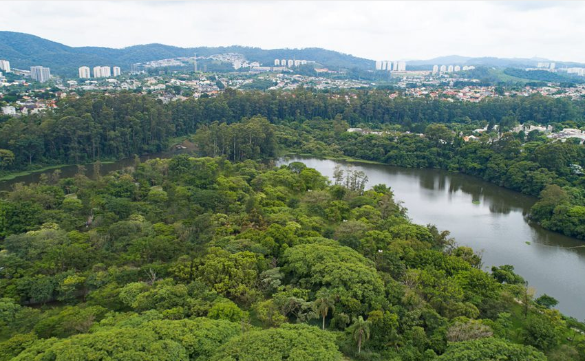 A arborização urbana é um dos pilares para uma cidade mais sustentável, proporcionando qualidade de vida e bem-estar para a população. Nesse contexto, o Selo "Cidade Amiga das Árvores" surge como um reconhecimento essencial para os municípios brasileiros que adotam boas práticas de manejo e preservação de suas árvores urbanas. Mas o que significa exatamente esse selo e quais são os critérios para obtê-lo?