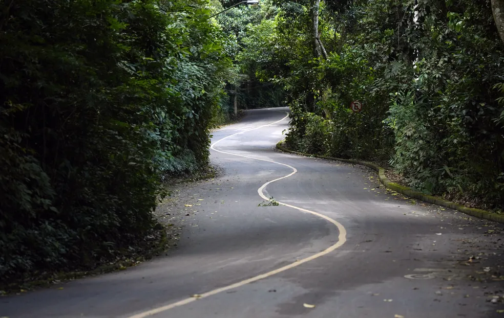 O reconhecimento como "Cidade Amiga das Árvores" não apenas destaca o compromisso ambiental do município, mas também traz diversos benefícios, tais como: