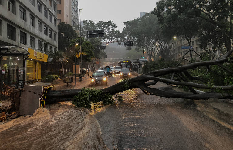 ​Como as inundações de cidades podem provocar quedas de árvores A queda de árvores durante enchentes pode resultar em danos significativos à infraestrutura urbana, interrupção do tráfego e riscos à segurança pública.