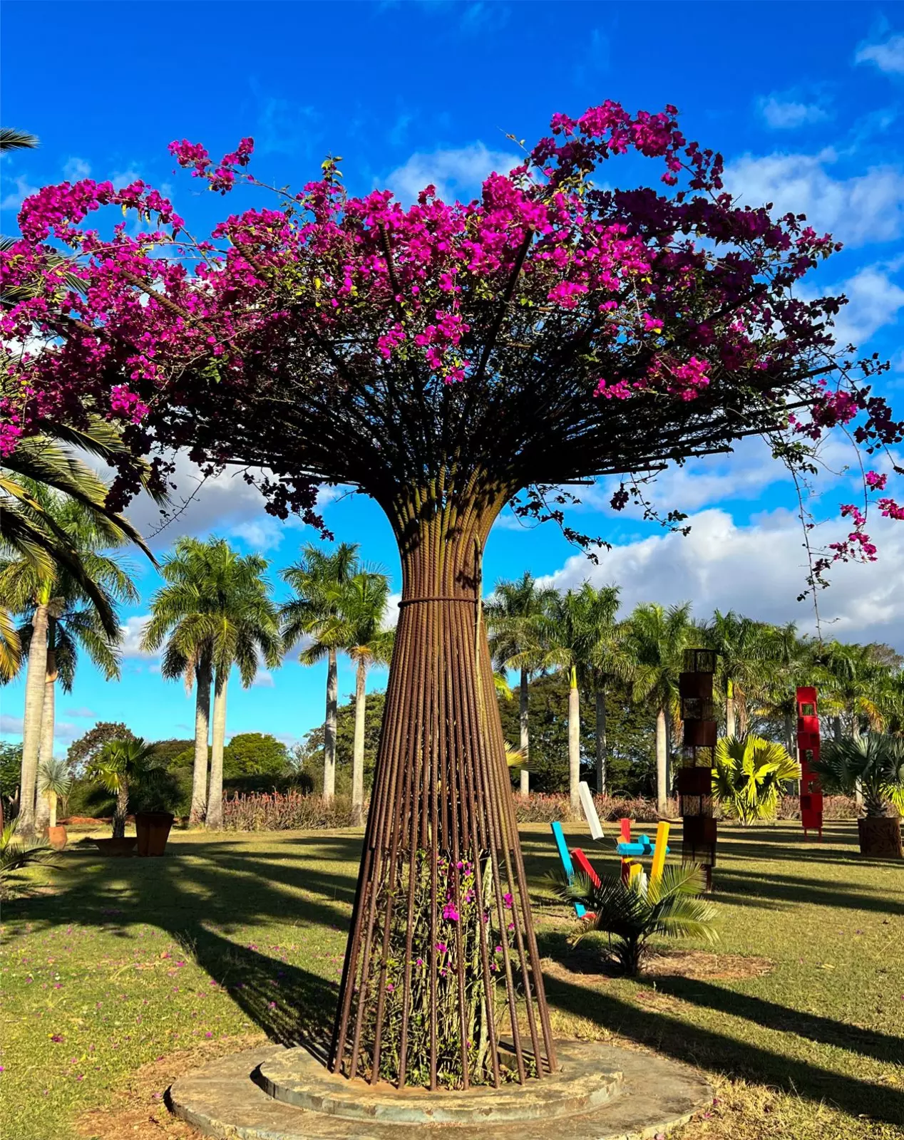 Escolher a árvore adequada para um jardim, calçada ou área de lazer é um passo essencial em qualquer projeto de plantio e paisagismo. Uma escolha errada pode gerar problemas futuros, como rachaduras em calçadas, danos em tubulações e até riscos de queda. Já a seleção correta traz beleza, sombra agradável, atração de pássaros e valorização do imóvel. Mas afinal, como identificar a espécie certa para cada ambiente?