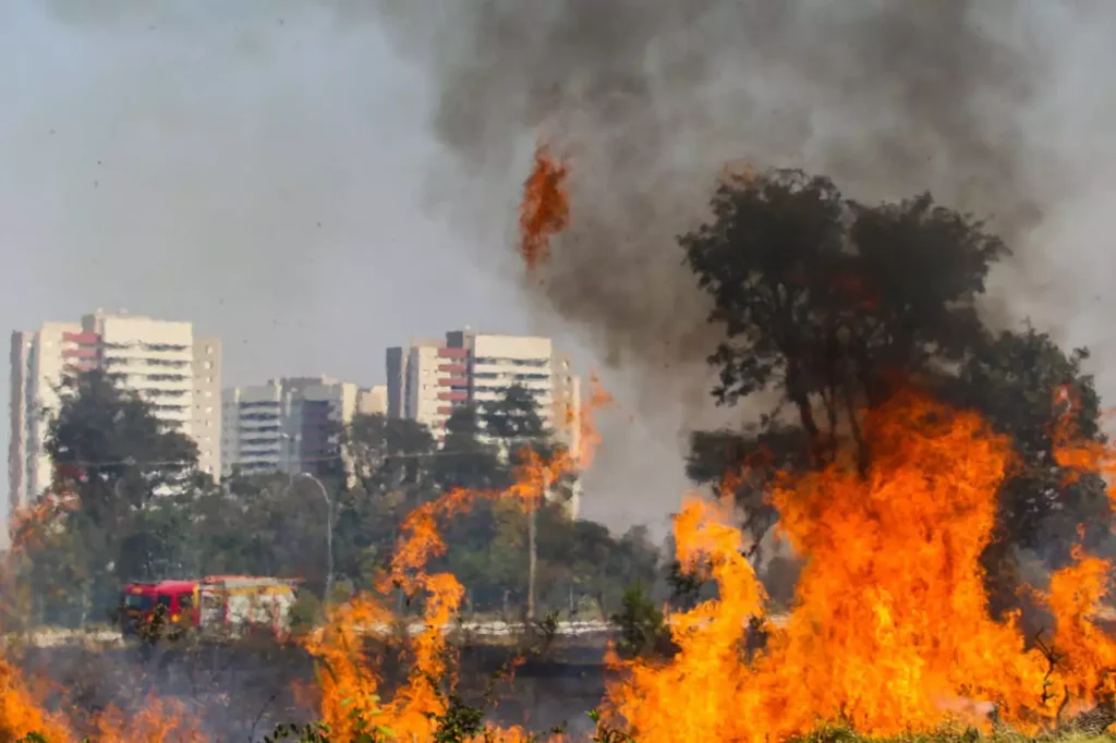 Limpeza de terrenos e áreas verdes: Medida que evita queimadas A limpeza de terreno é uma das ações mais eficazes e preventivas para evitar queimadas em áreas urbanas e rurais.