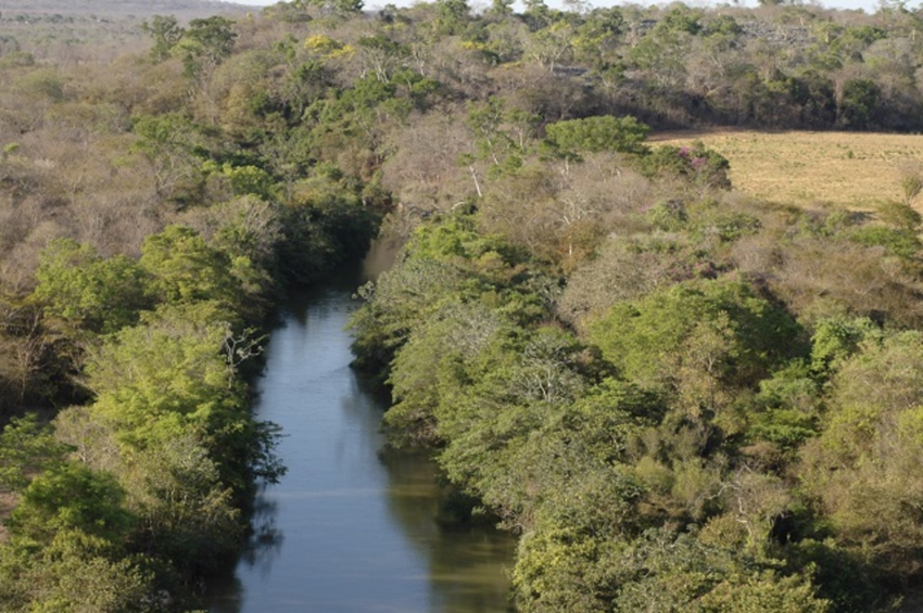 plantio-de-arvores-em-volta-de-rios-2 O plantio de árvores em volta de rios não é apenas uma ação ecológica, mas um compromisso com as futuras gerações. Proteger as matas ciliares significa garantir água limpa, equilíbrio climático e biodiversidade preservada.