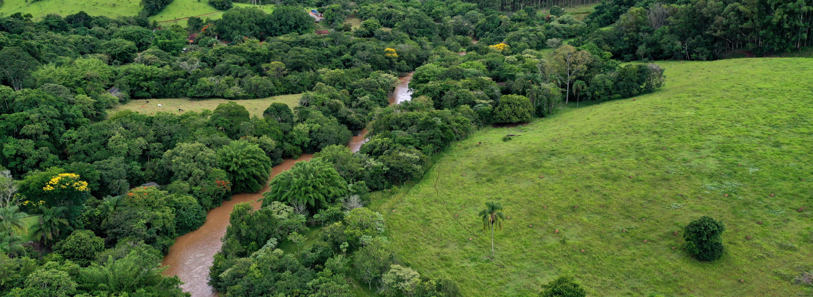 plantio-de-arvores-em-volta-de-rios-1 O plantio de árvores em volta de rios é também uma ferramenta poderosa no combate às mudanças climáticas. As árvores absorvem dióxido de carbono (CO₂), um dos principais gases do efeito estufa, e o transformam em oxigênio.