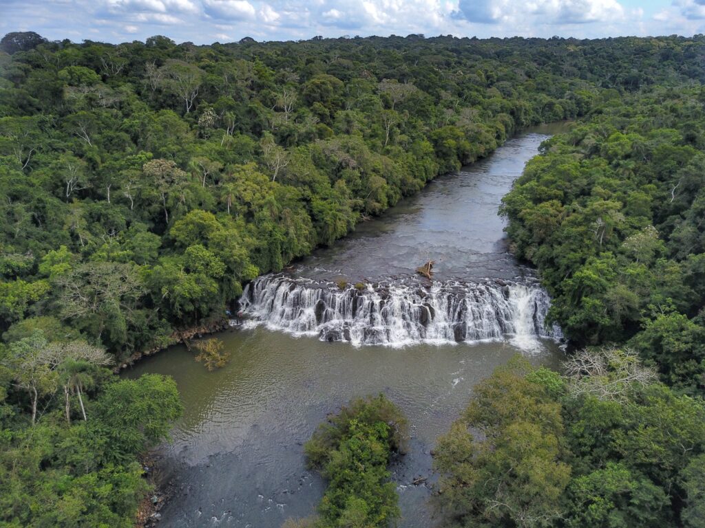 Estudo sobre o plantio de árvores em volta de rios O plantio de árvores em volta de rios é também uma ferramenta poderosa no combate às mudanças climáticas.