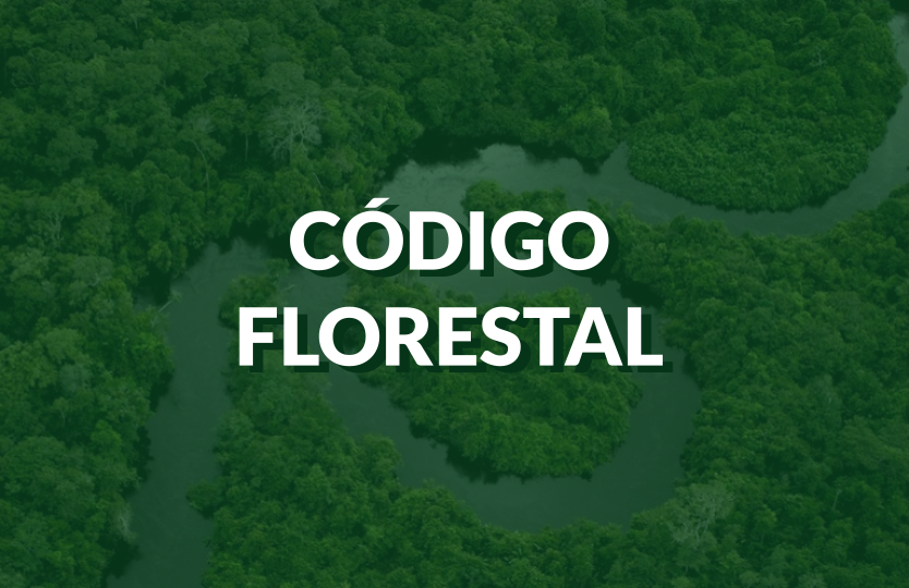 Novo Código Florestal: Qual a distância para plantar árvores perto de ... Entender o Novo Código Florestal não é apenas uma questão ambiental; é uma necessidade estratégica e legal para qualquer empresário ou proprietário de terreno n ...