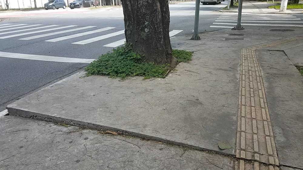 Árvores e Acessibilidade: Como Manter a Segurança Urbana Árvore e acessibilidade - Como essa combinação pode mudar a paisagem de uma cidade para todos.