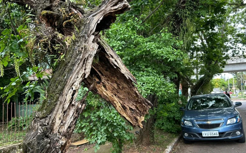 Lei 15.299/2025 e Poda de Árvores: Entenda as mudanças A Lei 15.299/2025 que trata da poda de árvores teve alterações, trazendo agilidade e segurança jurídica para quem precisa proteger seu patrimônio e a vida. Leia