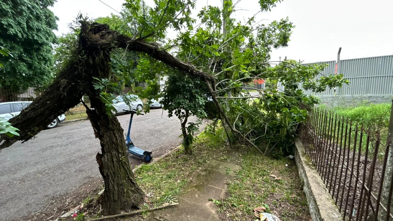 Você já passou pela situação angustiante de ver uma árvore inclinada, ameaçando cair sobre o seu muro, carro ou até mesmo sobre a rede elétrica durante uma tempestade, e se sentir de mãos atadas esperando uma autorização que nunca chega? Se você mora ou administra imóveis em São Paulo, sabe que as chuvas de verão trazem, além da água, uma preocupação real com a segurança arbórea. A boa notícia é que o cenário mudou drasticamente. A Lei 15.299/2025 e poda de árvores tornaram-se o assunto principal neste início de 2026, trazendo agilidade e segurança jurídica para quem precisa proteger seu patrimônio e a vida das pessoas.