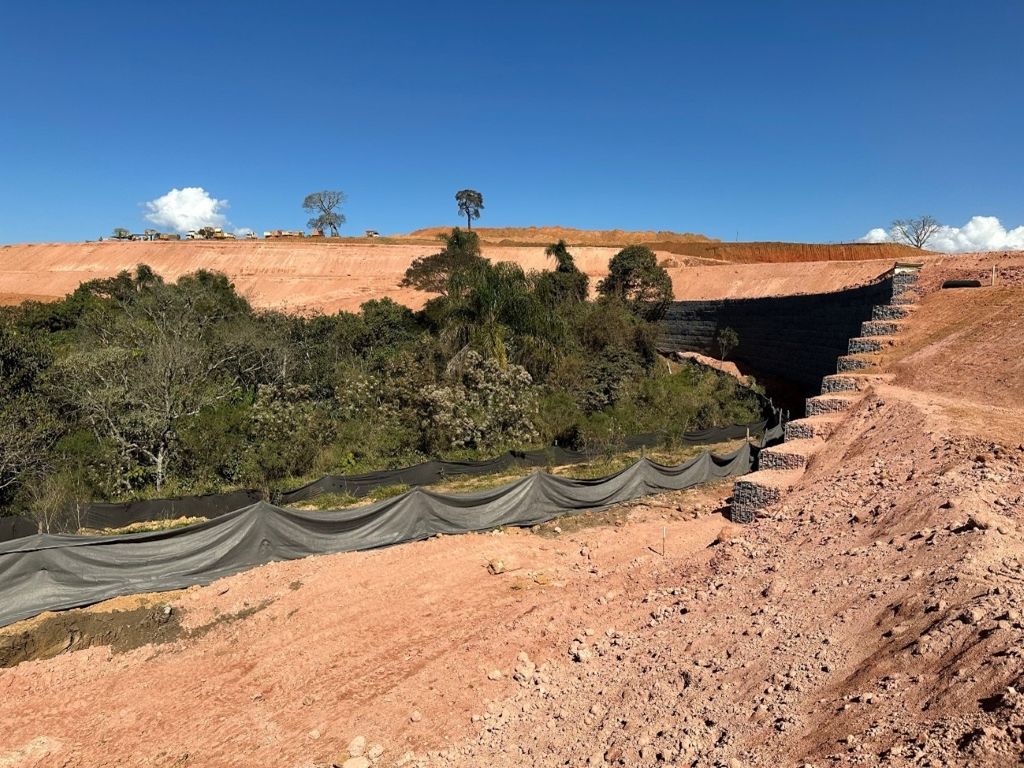 Arborização em áreas industriais: desafios, riscos e soluções eficientes representam um dos maiores equilíbrios entre progresso econômico e responsabilidade ambiental que um gestor precisa enfrentar hoje.