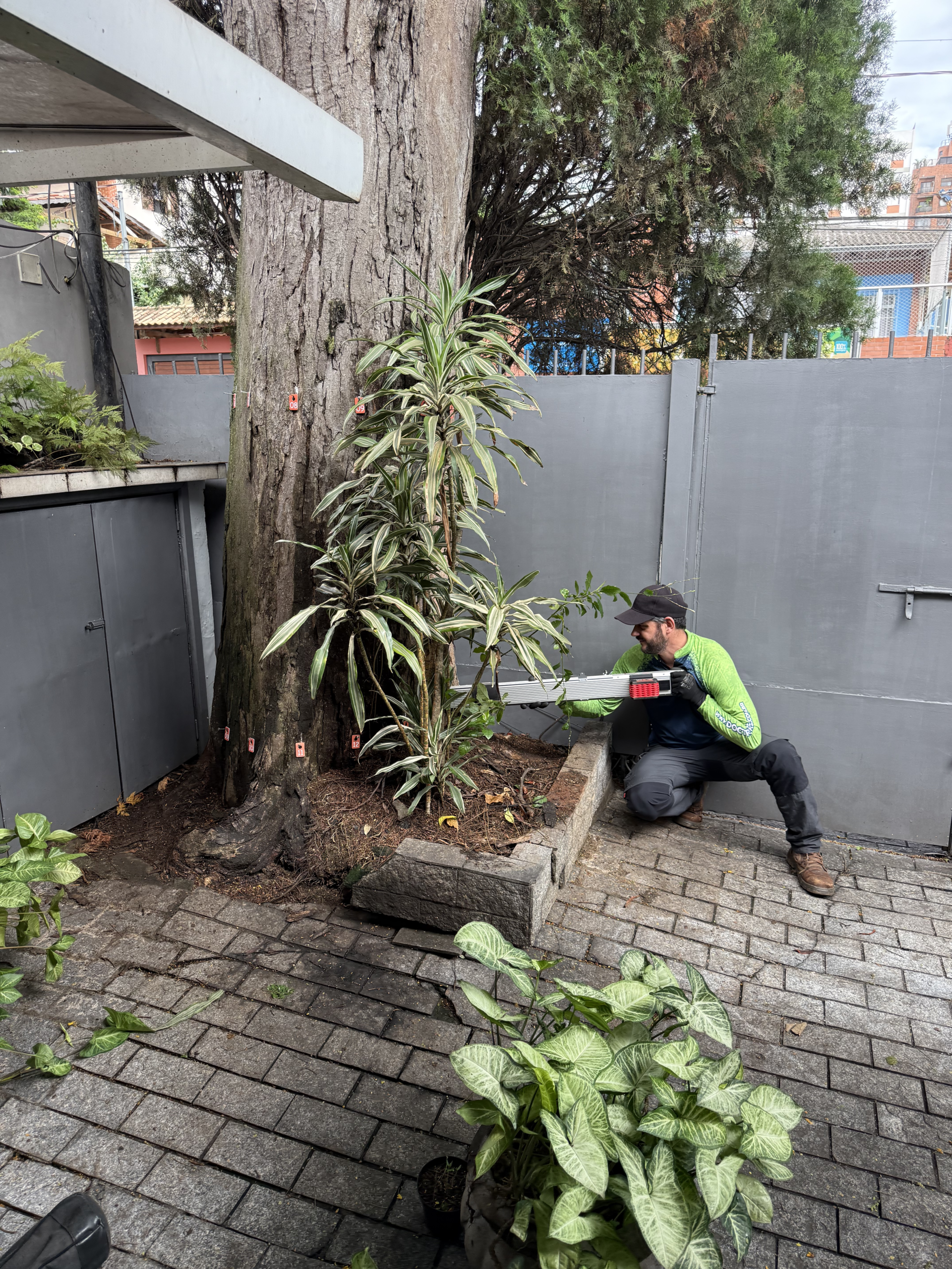 Agora que você entendeu por que a manutenção arbórea preventiva reduz custos em grandes empreendimentos, a dúvida é: como começar?