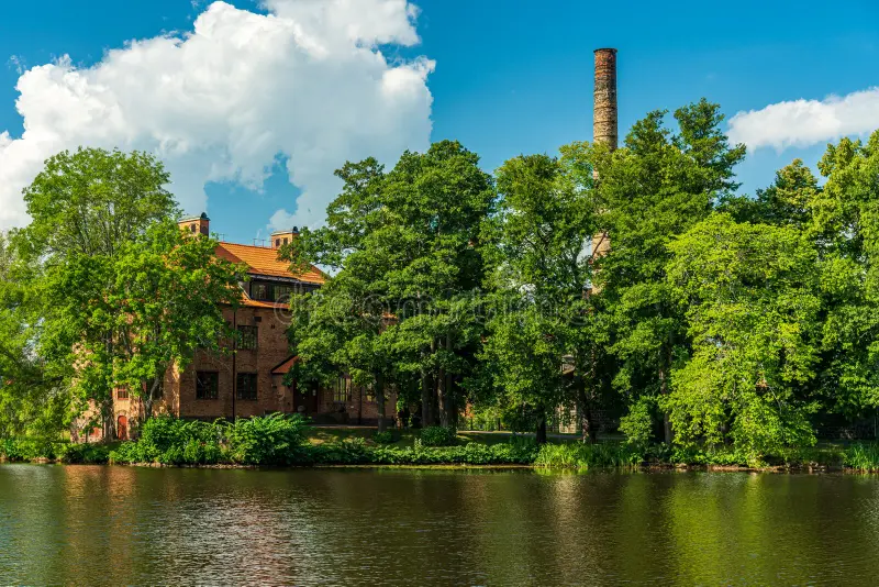 Quando falamos sobre arborização em áreas industriais: desafios, riscos e soluções eficientes, o risco de queda de espécimes é o fator que mais preocupa os departamentos de Segurança do Trabalho (SESMT). Árvores sem manutenção preventiva podem ocultar podridões internas, tornando-se ameaças reais para colaboradores e frotas.