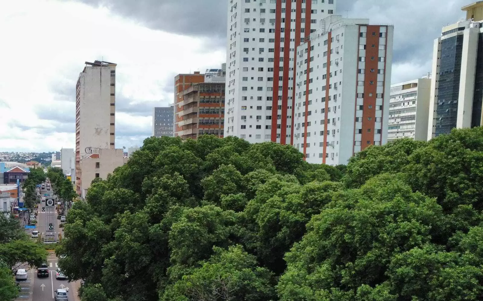 Você já sentiu aquela diferença brutal de temperatura ao sair de uma rua asfaltada e entrar em um parque arborizado? Essa sensação não é apenas psicológica. As cidades modernas enfrentam um fenômeno crítico conhecido como ilhas de calor, onde o concreto e o asfalto retêm radiação solar, elevando os termômetros em vários graus. Entender como as árvores reduzem o impacto das ilhas de calor é o primeiro passo para transformar centros urbanos como São Paulo em locais mais resilientes e agradáveis para se viver.